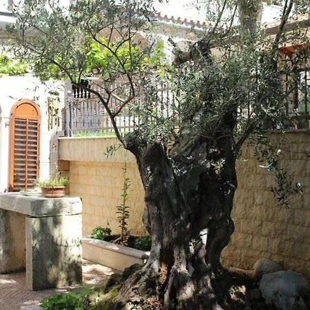 Apartment Maras Porec Room photo